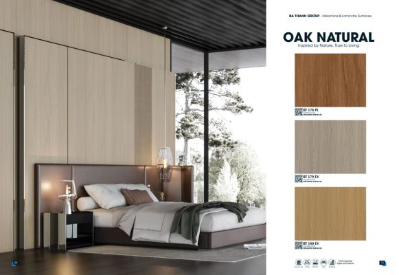 Melamine Ba Thanh 2026 2027 Trang 06