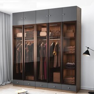 Tủ áo Kính Khung Nhôm Fhtckcg011